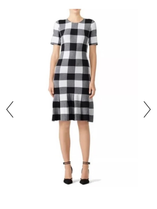 Slate & Willow Dresses & Skirts - Slate and Willow and White Gingham Short Sleeve Knit Dress size xs